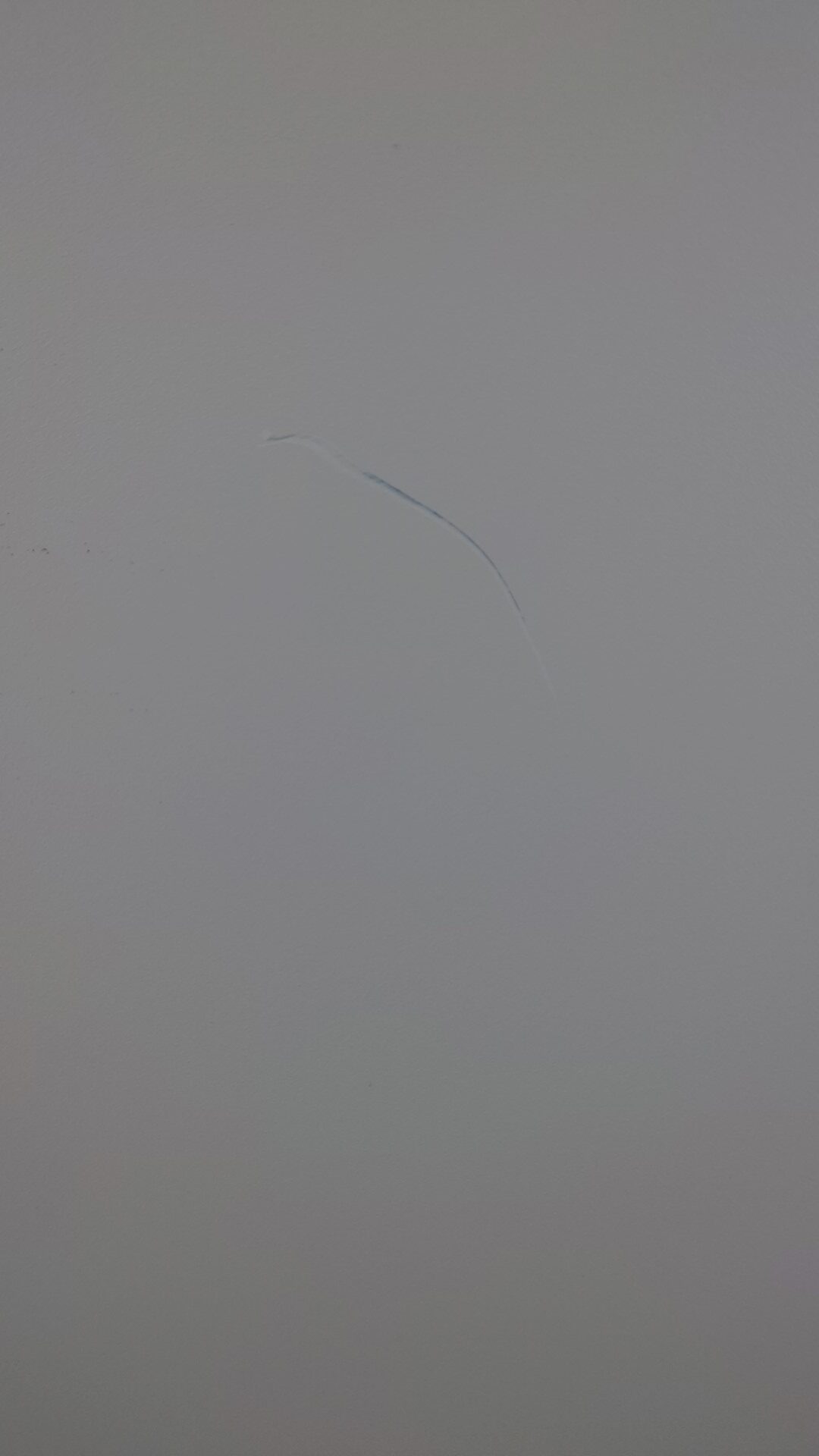 DSC_8314 DSC 8314 rotated