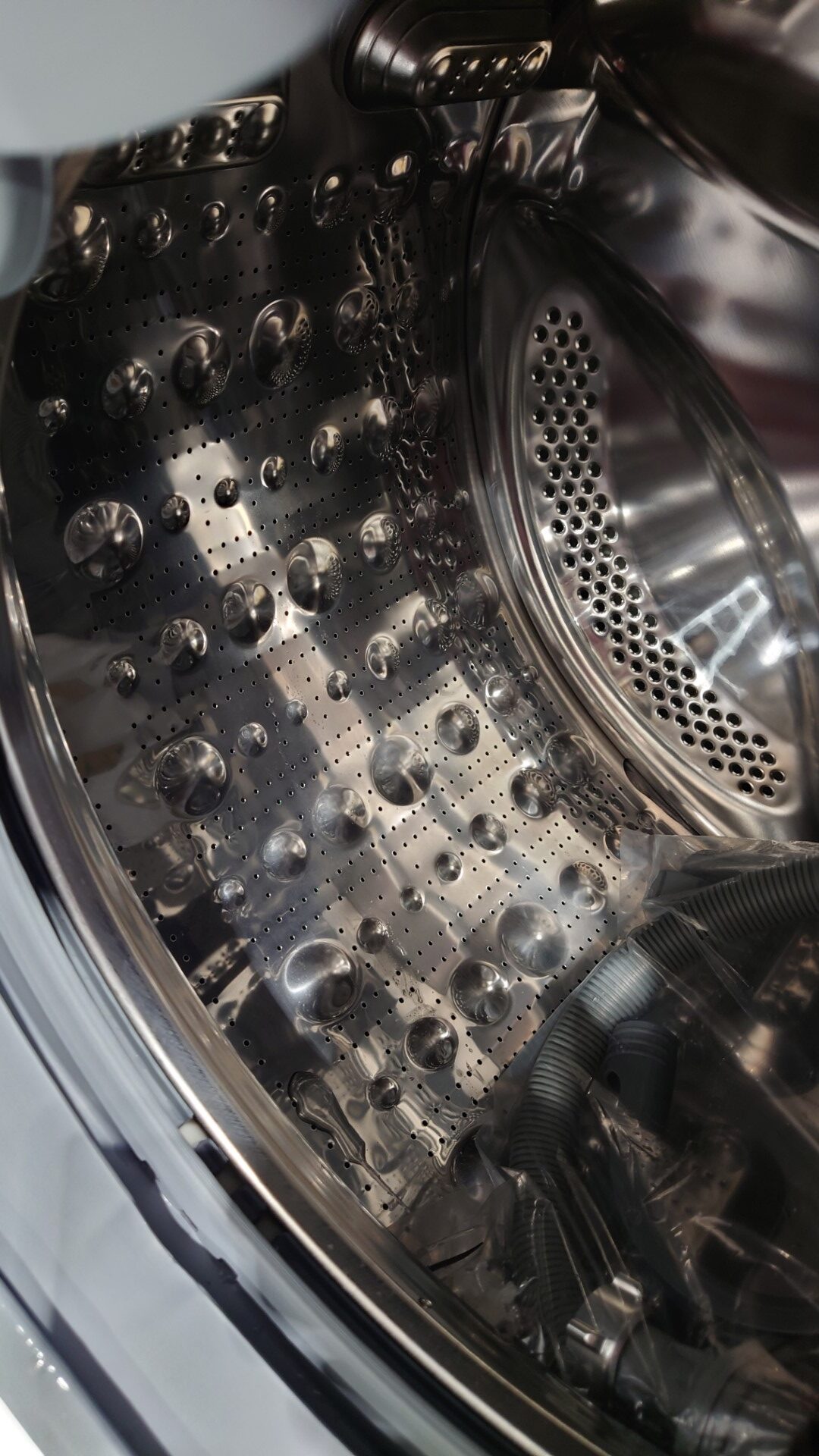 DSC_7475 DSC 7475 rotated