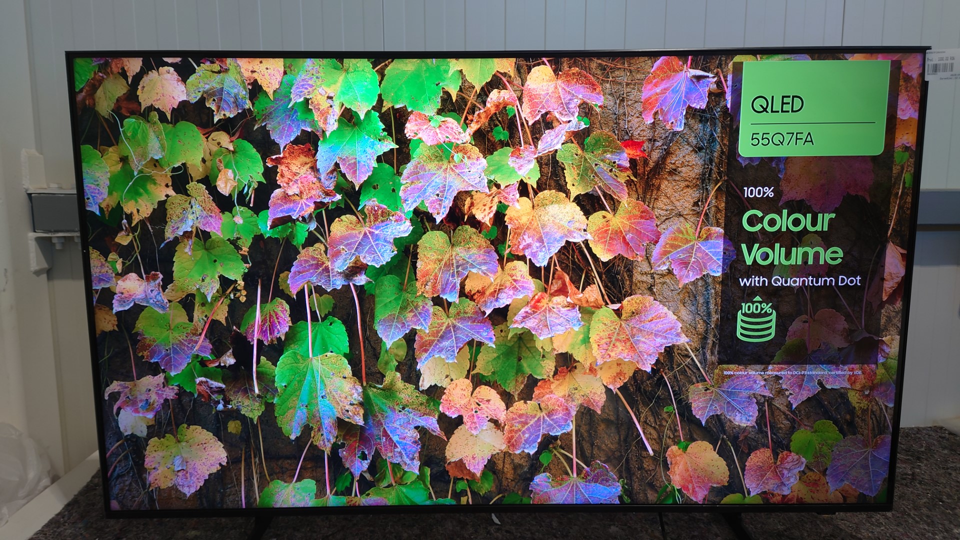 DSC_1273 DSC 1273