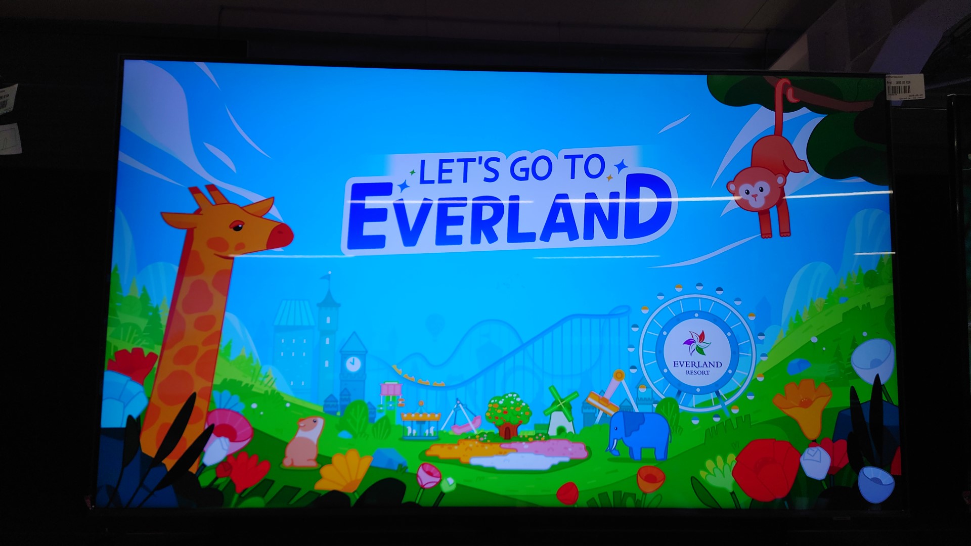 DSC_2686 DSC 2686