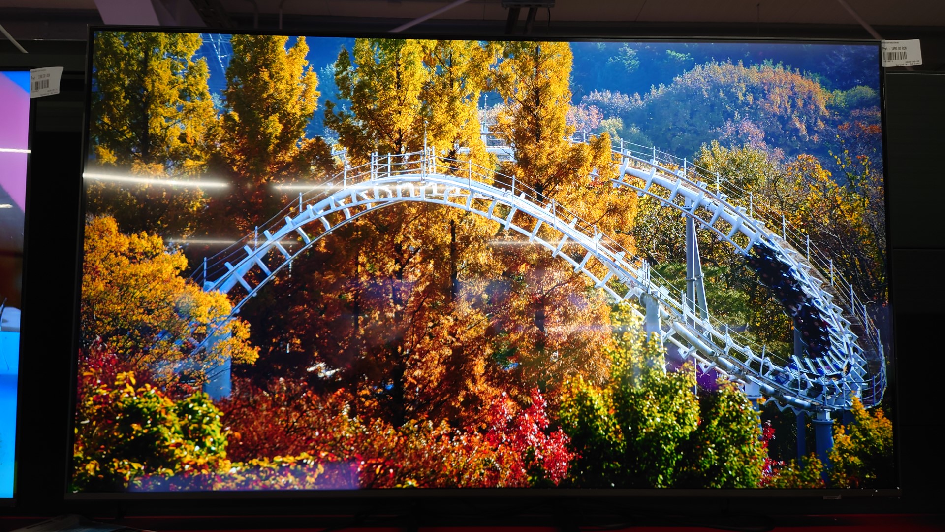 DSC_2699 DSC 2699