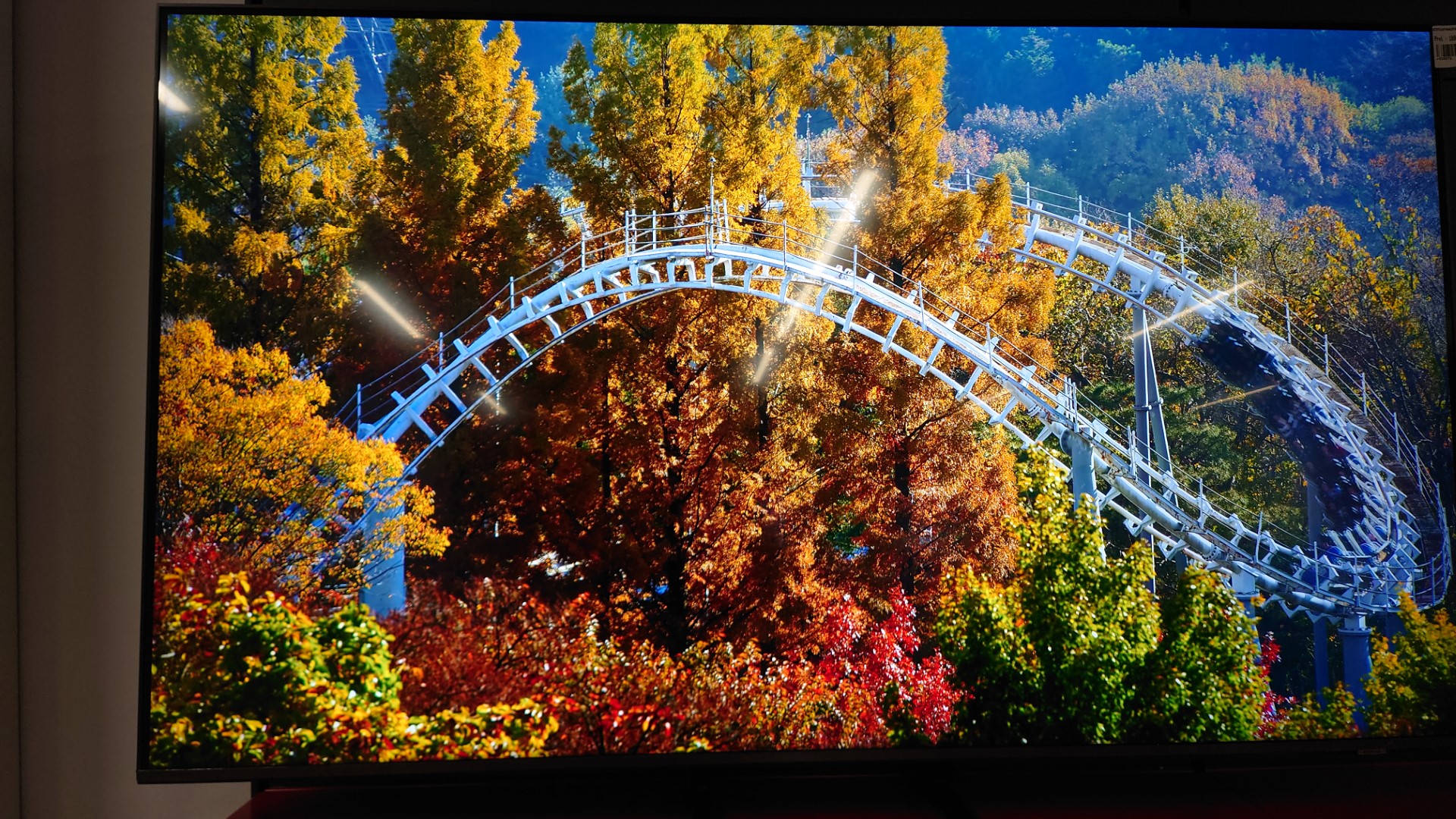 DSC_2709 DSC 2709